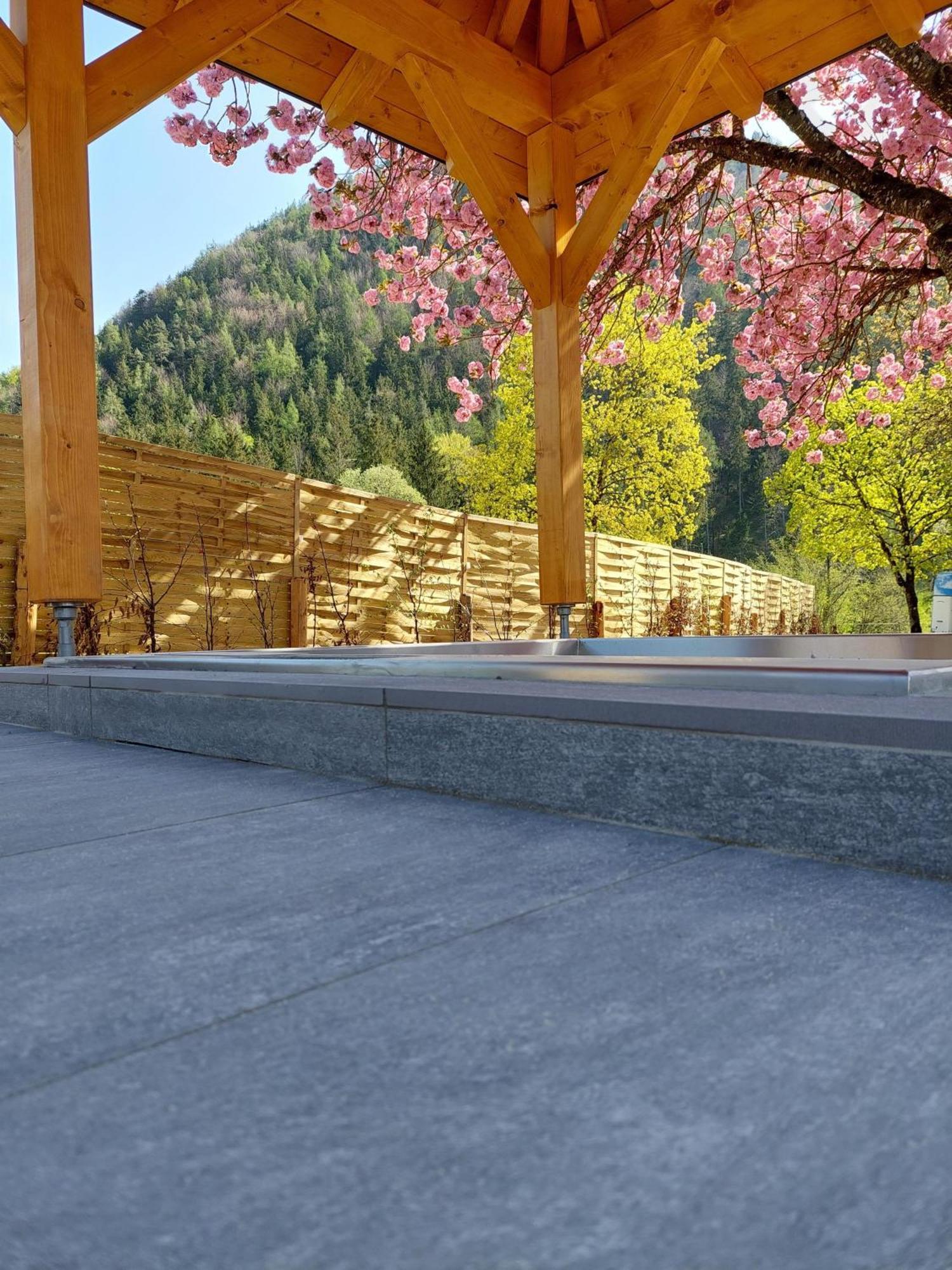 Hofpower'S Mountain Feeling Apartment Хинтерщодер Екстериор снимка