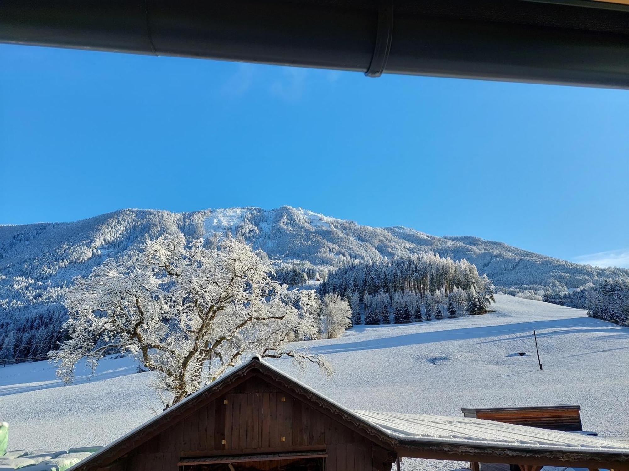 Hofpower'S Mountain Feeling Apartment Хинтерщодер Екстериор снимка