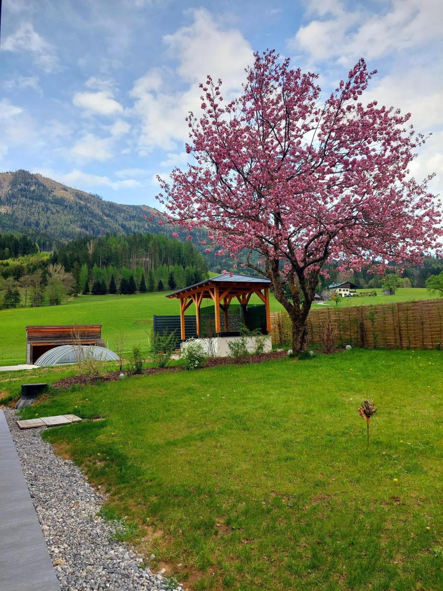 Hofpower'S Mountain Feeling Apartment Хинтерщодер Екстериор снимка